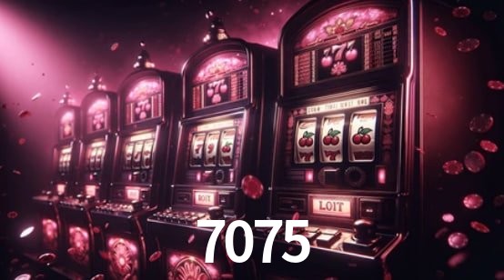 Experiência VIP 7075