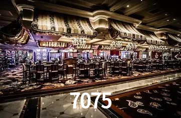 Security Systems 7075